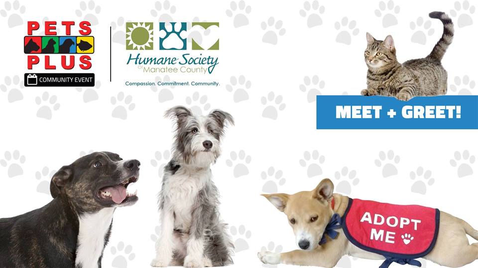 humane society meet and greet adoptable pets