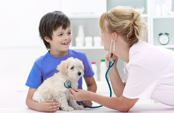 vet with child and puppy