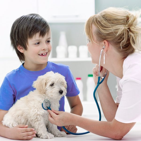 vet with child and puppy