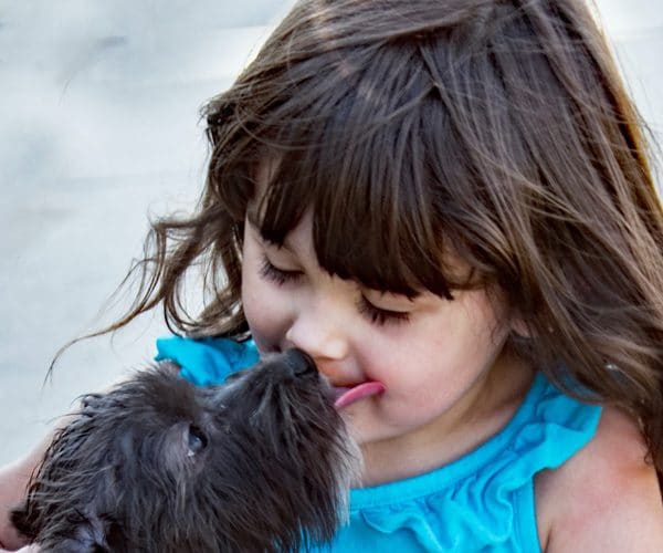 dog kissing little girl blog leo and luckys