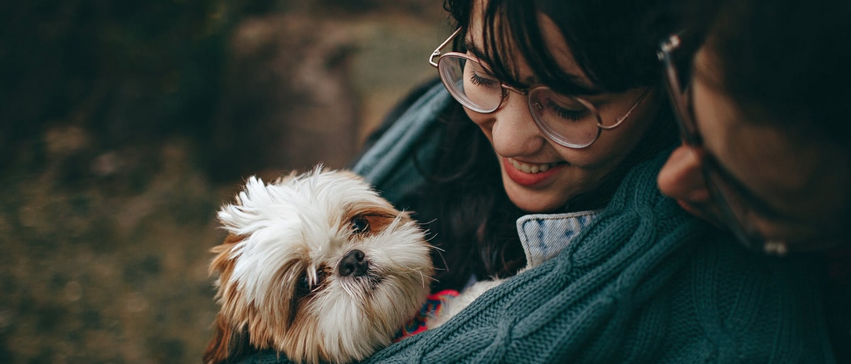 dogs show forgiveness