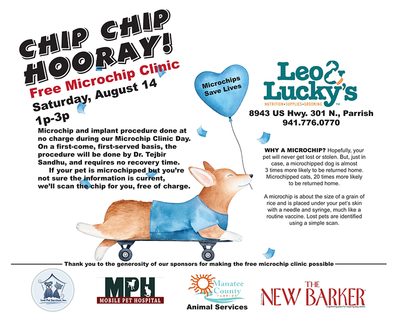 chip chip hooray microchip event flyer