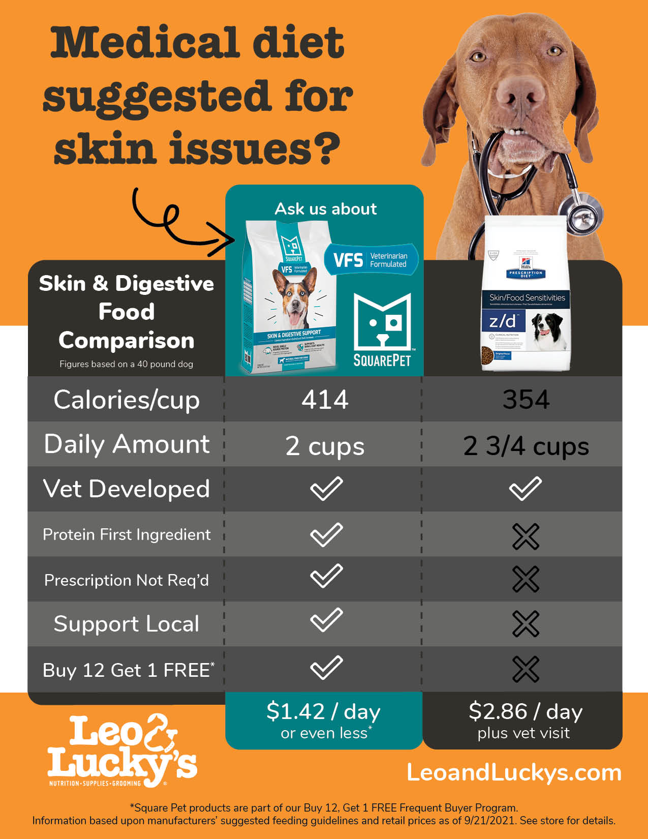 VFS Skin issues dog food