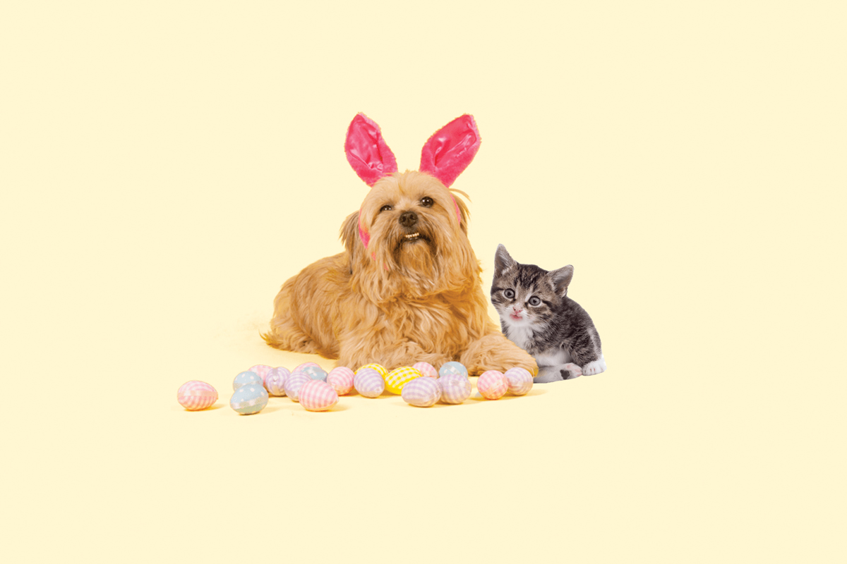 leo luckys easter blog