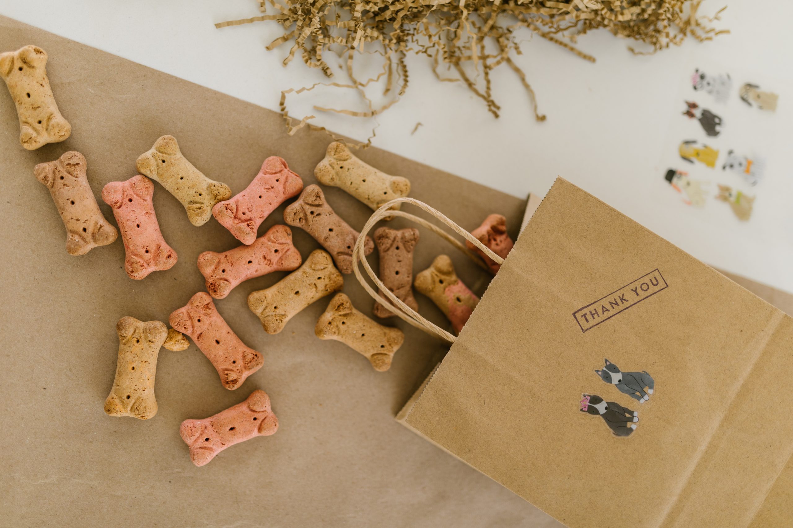 pet food storage