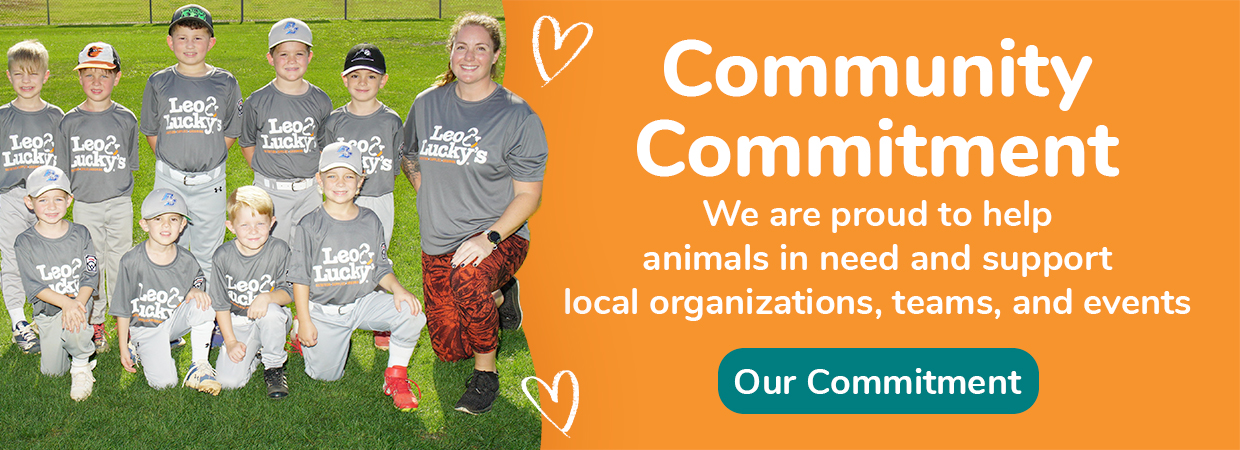 community commitment