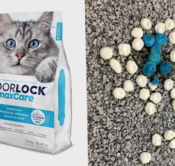 Intersand Odorlock MaxCare Health Indicator Cat Litter Now Available