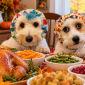 Lucky and Riptide wearing snoods at a dog-friendly Thanksgiving dinner